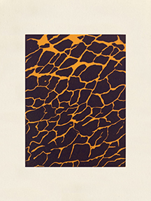 Abstract5