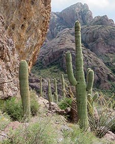 Baboquivari Mtns